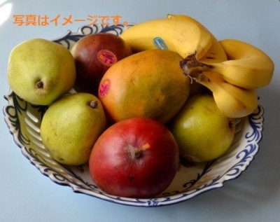 カダヤワン サ ダバオ(Kadayawan sa Davao)：フィリピン