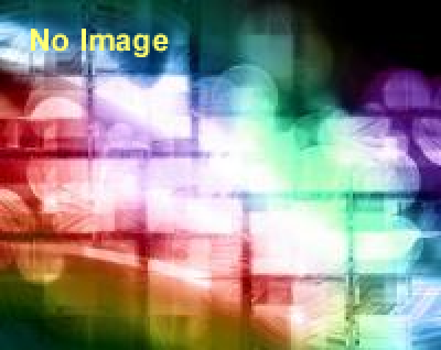 これからの写真