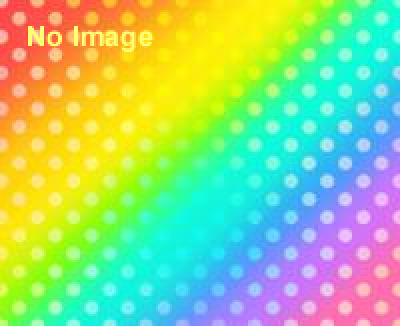 バライロフェスティバルかのや2014 