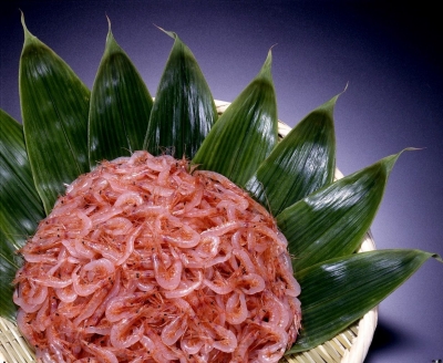 由比桜えびまつり2017