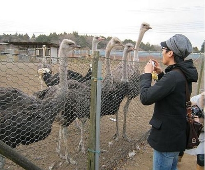 東京別視点ガイド：珍スポバスツアー 茨城編