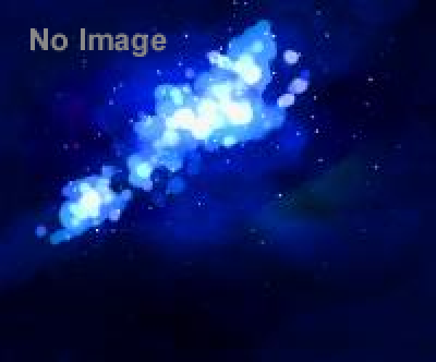 猿島×trippieceコラボ　無人島シアター