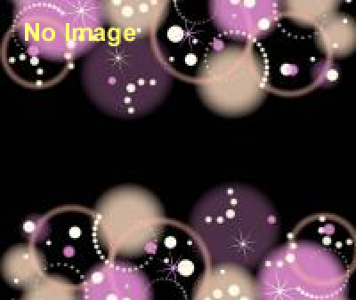 ミステリー・ザ・サード2014 「マーダー・コミュニティ〜我らが街の悪夢」