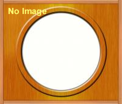 特別企画展　旅に出よう　－絵地図からはじまる物語－　