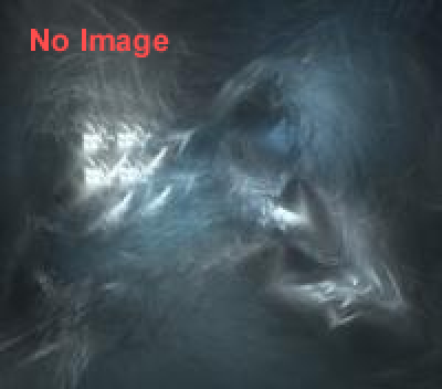 第66回　秦野たばこ祭