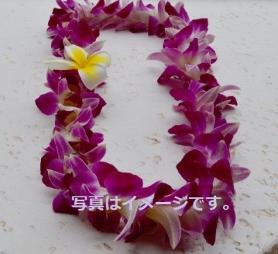 ハワイ：レイ・デー（レイデー・セレブレーション　LEI DAY CELEBRATION）