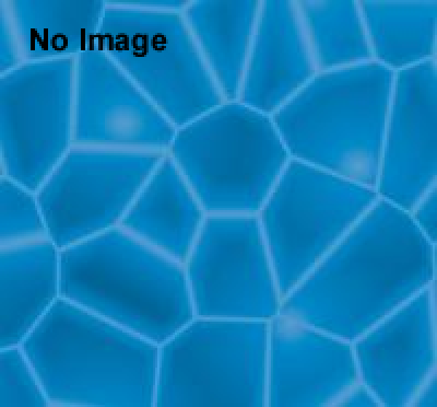 酒スプリッツァーキャンペーン　2013 