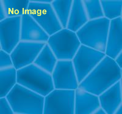 レアンドロ・エルリッヒ ―ありきたりの？