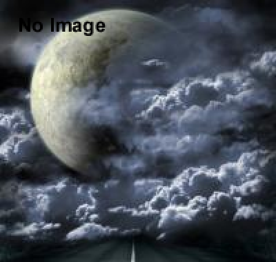 忍者ナイトクルーズ