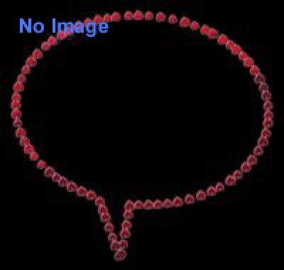 明治のおもしろ事件簿 錦絵新聞展