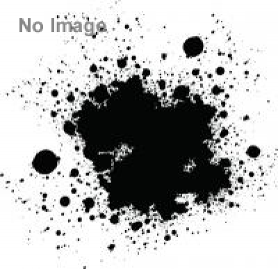 書道パフォーマンス甲子園（全国高校書道パフォーマンス選手権）