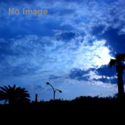 廃道ブックフェア