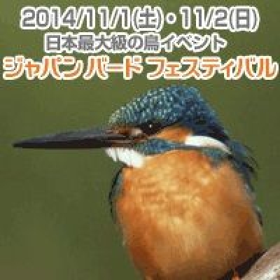 ジャパン・バード・フェスティバル2014