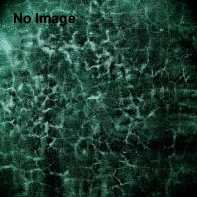 ボーン コレクターズ―骨に魅せられて―