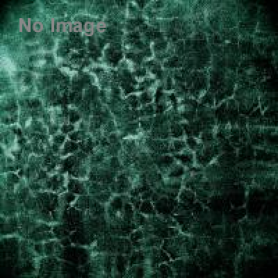 ゴミ屋敷ナイト！！