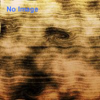 忍者の里「風魔まつり」2015