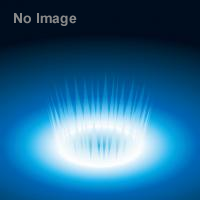 夜の海地獄 　2015