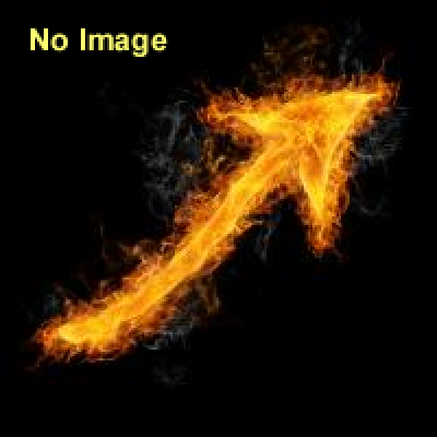 遠州はまきた飛竜まつり