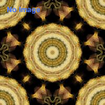 第355回企画展　世紀末のファッションスタイル2～Modern Girls～