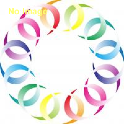 -障害物エンターテイメントランニング- ヴァイキングアドベンチャー 2014