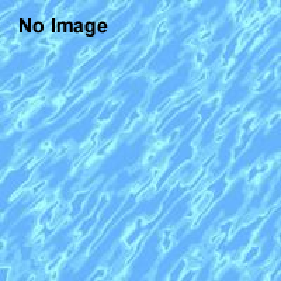 びっちょり祭　2014