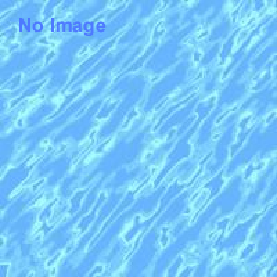 無人島からの脱出〜猿島迷宮の謎を解き明かせ！〜【11月再演】