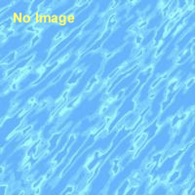 トイレから始めるより良い世界－MDGs達成期限まで500日で何ができるのか