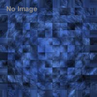 滋賀うまいもん選抜総選挙 in 浜大津サマーフェスタ2015