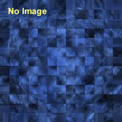 特集陳列「獅子と狛犬」 