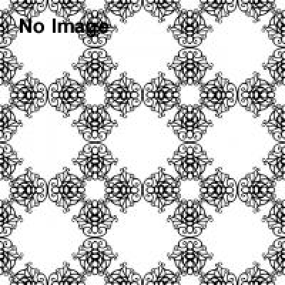 オールジャパンパッチ選手権大会in陸別