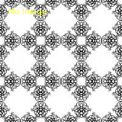 林映里 個展［骨の在処］