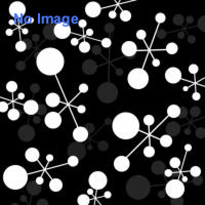 第1回姫路忍者流　手裏剣打選手権大会