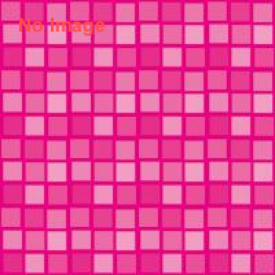 美人似顔絵300展