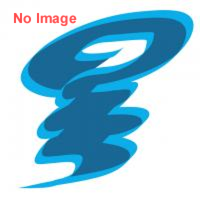 映画「偉大なる、しゅららぼん」完成披露試写会＆舞台挨拶