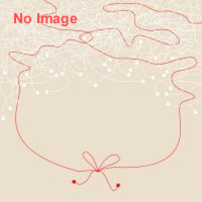 仕立て屋のサーカス - circo de sastre -