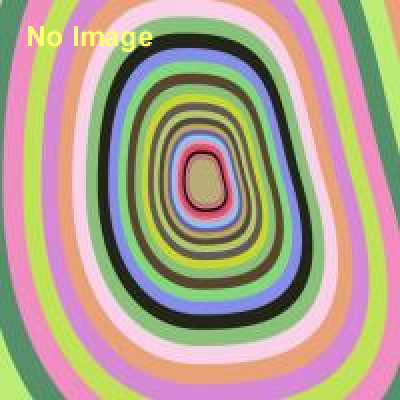 第2回全日本まくら投げ大会 in 伊東温泉