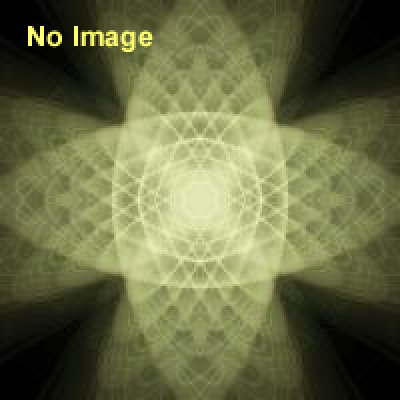 サルサストリートフェスティバル 2015