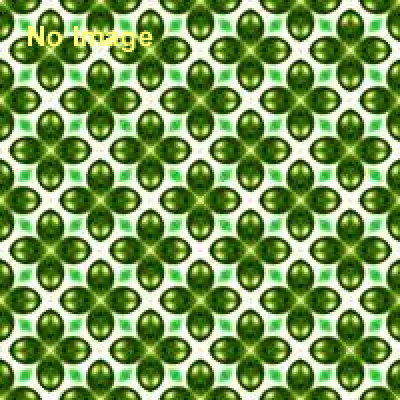 VS飼育員～4月19日は飼育の日！飼育員のお仕事に挑戦！～