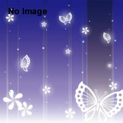 Ｍ氏蒐集珍奇ガラクタ古道具即売会