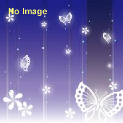 旧江戸川乱歩邸・土蔵の公開