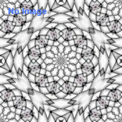 トーキョーノーザンライツフェスティバル2014（Tokyo Northern Lights Festival）