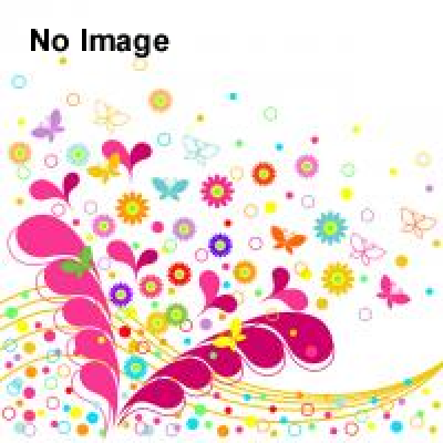 初島漁師の丼合戦