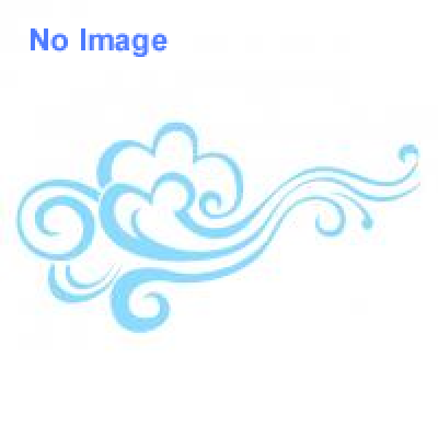 第10回大根おろし王選手権 