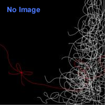 彼女のラストメッセージ