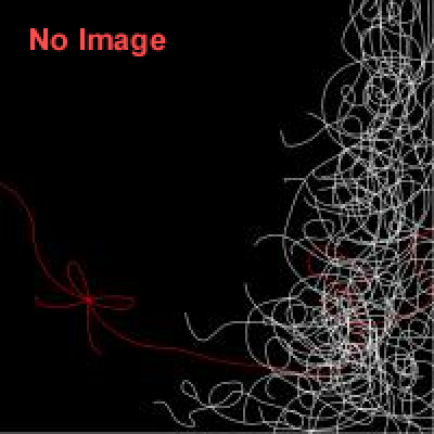 女性アーティスト展「私たちは越えていく」