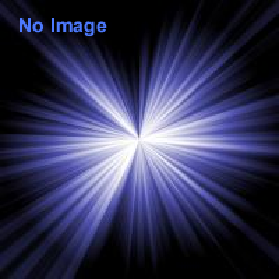 障害物競走ウォリアーダッシュ2013 【東京ドイツ村会場】 