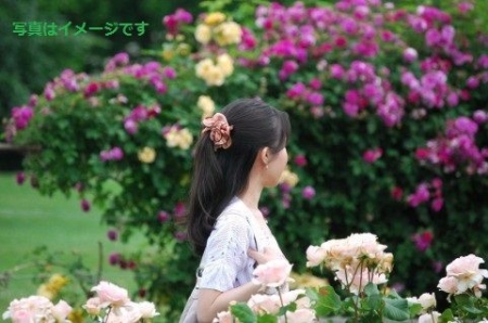 イベントの写真