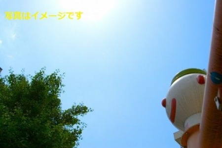 イベントの写真