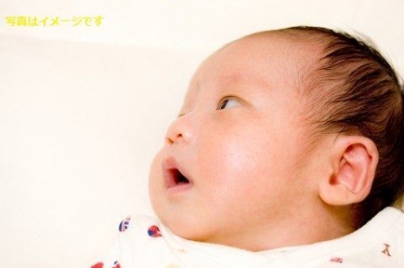 イベントの写真