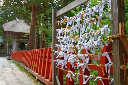 イベントの写真